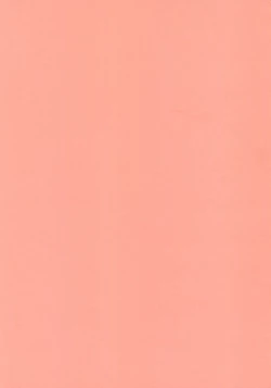 Page 25 of Kawaii Hito