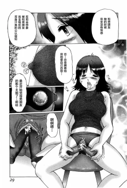 Page 29 of Waisetsu Shoukougun