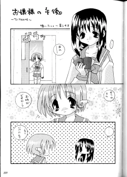 Page 223 of MODEL DX3