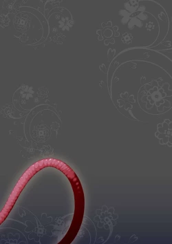 Page 54 of Bouken no Sho Series Soushuuhen - The Adventurer's Book has Perfect. Vol. 1