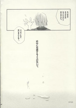 Page 19 of MADE IN JAPAN