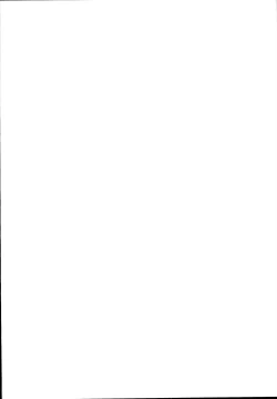 Page 4 of Chaldea Supporter