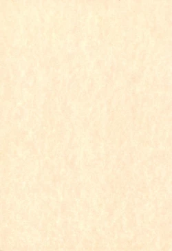 Page 3 of Hinateki Torte!