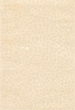 Page 4 of Chibiusa Kiki Ippatsu