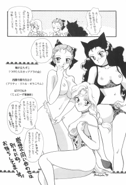 Page 66 of Chibiusa Kiki Ippatsu