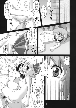 Page 25 of Tanoshii Cirno no Okashikata