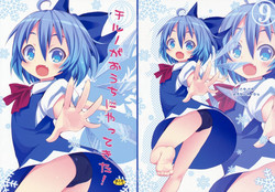 (SC45) [Nounai Kanojo (Kishiri Toworu)] Cirno ga Ouchi ni Yattekita! (Touhou Project)