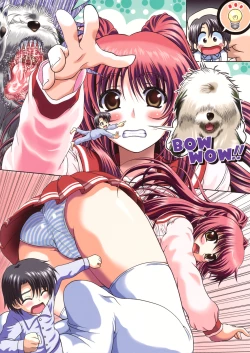 Page 44 of Tamaki-san no Koibito ue Kaiteiban