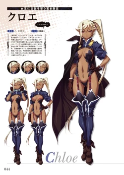 Page 46 of Kuroinu Series Art Works