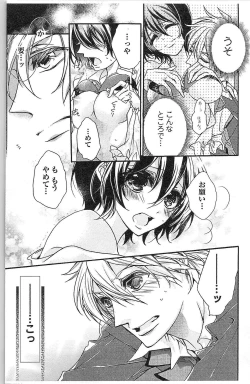 Page 43 of Seitokai no Tokken!