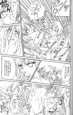Page 12 of HYAKKA SEIHOU