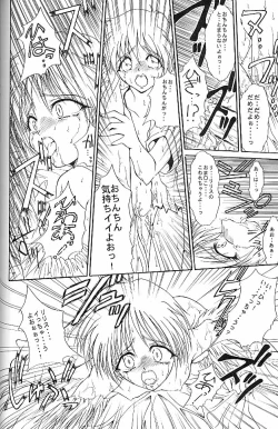 Page 13 of HYAKKA SEIHOU