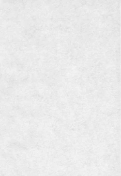 Page 2 of Hanzai Denbu