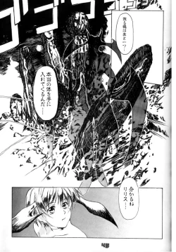 Page 46 of Multi Bon