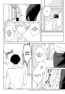 Page 21 of Mihanada Pectolite