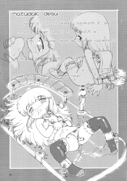 Page 16 of Licca Vignette