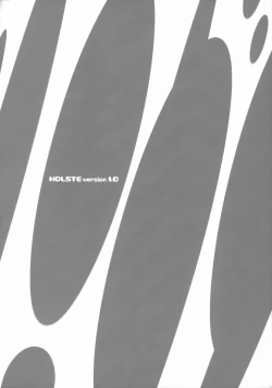 Page 17 of Holste version 1.0