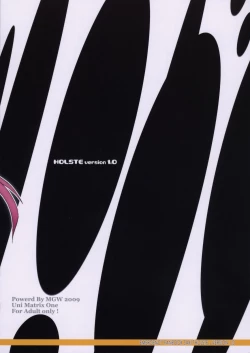 Page 26 of Holste version 1.0