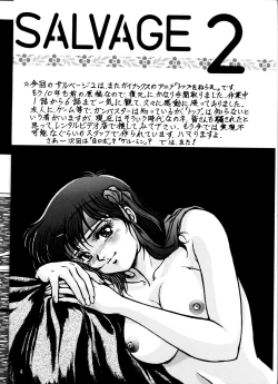 Page 3 of SALVAGE 2