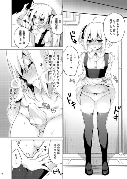Page 13 of Kawaii Otouto wa Onii-chan no Tame ni Imouto ni Narubeki! Sono 2