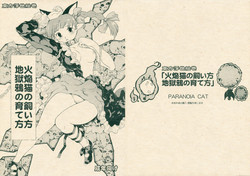 (Kouroumu 5) [Paranoia Cat (Fujiwara Shunichi)] Touhou Ukiyo Emaki Kaenbyou no Kaikata Jigokugarasu no Sodatekata (Touhou Project)