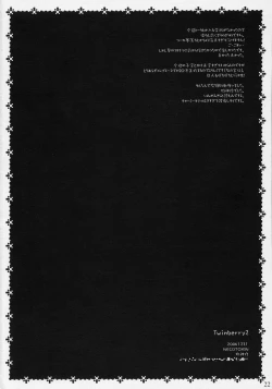 Page 21 of TwinBerry 2