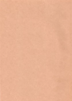 Page 2 of Sakura Ranbu Den!