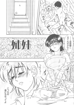 Page 104 of Sisters kyodai ～Demi human～