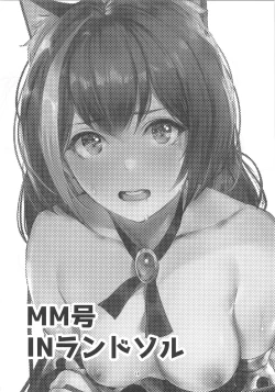 Page 13 of MM-gou IN Randosol