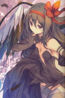 Page 5 of Homu Raiding