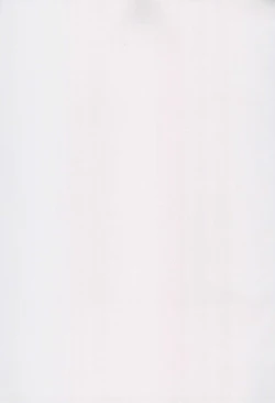 Page 3 of Kanojo wa.