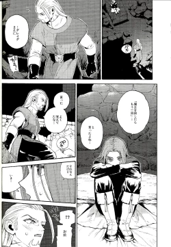 Page 17 of Saigo no toride