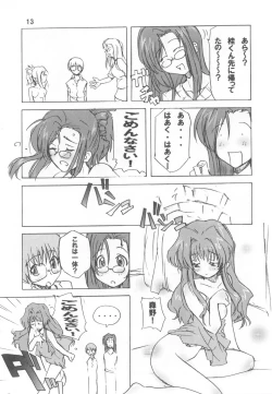 Page 13 of Poyopacho Apollo