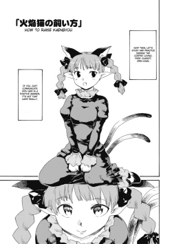 Page 3 of Touhou Ukiyo Emaki Kaenbyou no Kaikata, Jigokugarasu no Sodatekata