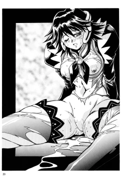 Page 38 of Corrector