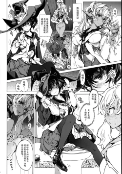 Page 23 of Otome Kishi no Himegoto