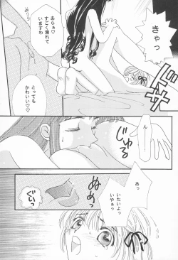 Page 13 of ROSDE CONARY BIRD