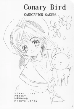 Page 30 of ROSDE CONARY BIRD