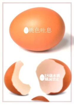 Page 26 of Savoureux Ouef