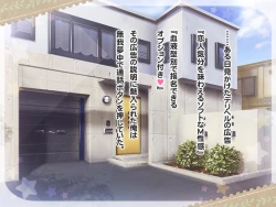 Page 4 of Ketsuekigatabetsu Option