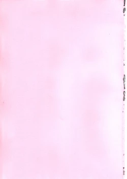 Page 2 of Mizugi de Punicure