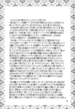 Page 23 of HI-PHS VI