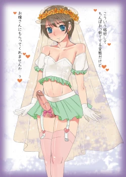 Page 3 of Otokomesu Otokonoko・Josoushi・Newhalf Soushuuhen