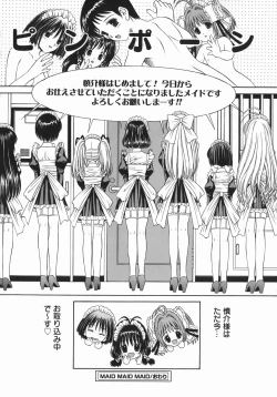 Page 62 of Mezame | Bud Awakening