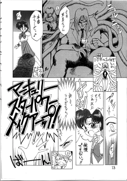 Page 14 of SUBMISSION MERCURY