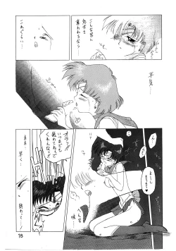 Page 19 of SUBMISSION MERCURY