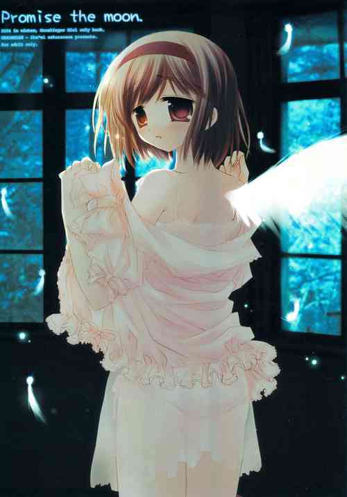 Download PROMISE THE MOON