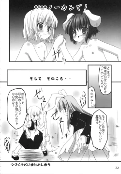 Page 21 of Do Sagi Cuniculs 3.0