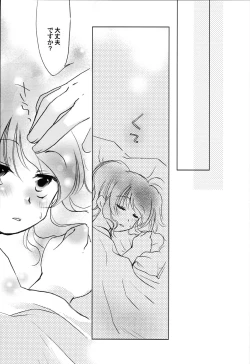 Page 20 of Carnation, Lily, Lily, Rose