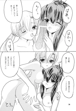 Page 25 of Imouto-tachi no Kaben